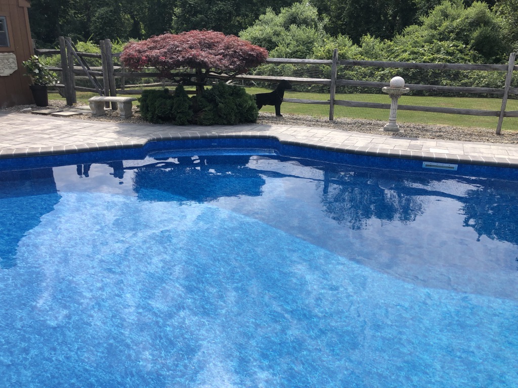 41B6E57B-822A-4324-9B51-E3F690DC722B_1_105_c